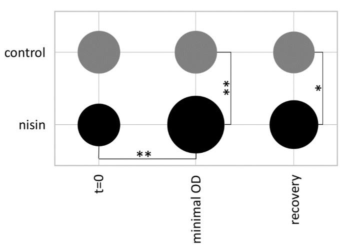 https://cdn.ncbi.nlm.nih.gov/pmc/blobs/a9a9/7918085/bd181fc46523/cells-10-00372-g008.jpg
