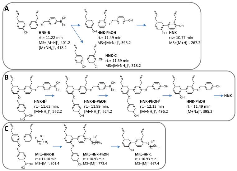 https://cdn.ncbi.nlm.nih.gov/pmc/blobs/a9a9/9953882/f52fa06ff55b/cancers-15-01089-g007.jpg