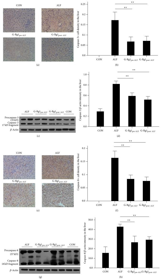 https://cdn.ncbi.nlm.nih.gov/pmc/blobs/a9aa/4241314/26e6ecdd1a2b/ECAM2014-538059.002.jpg