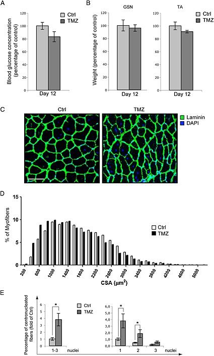 https://cdn.ncbi.nlm.nih.gov/pmc/blobs/a9aa/5011820/fc6308ccf3c5/JCSM-7-449-g002.jpg