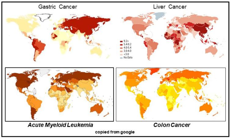 https://cdn.ncbi.nlm.nih.gov/pmc/blobs/a9aa/8582480/660b8b5babfb/cancers-13-05407-g013.jpg