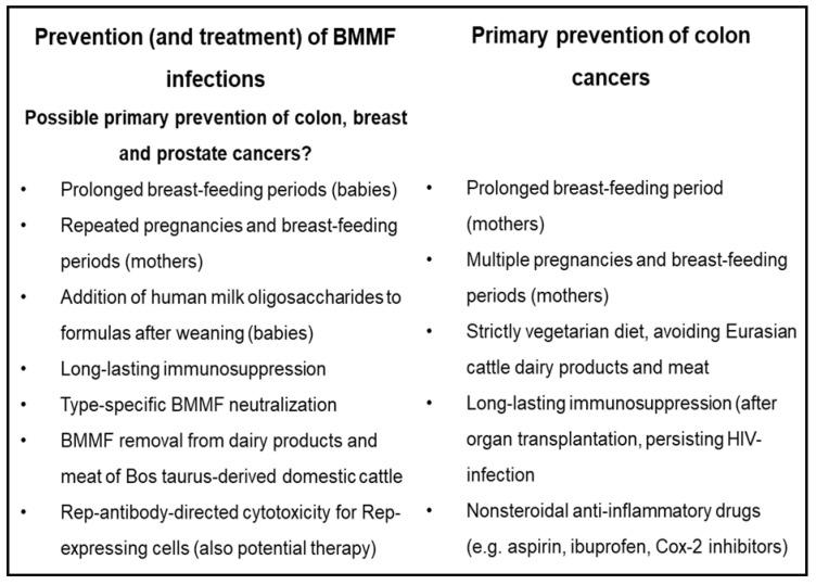 https://cdn.ncbi.nlm.nih.gov/pmc/blobs/a9aa/8582480/8319962bdd38/cancers-13-05407-g011.jpg