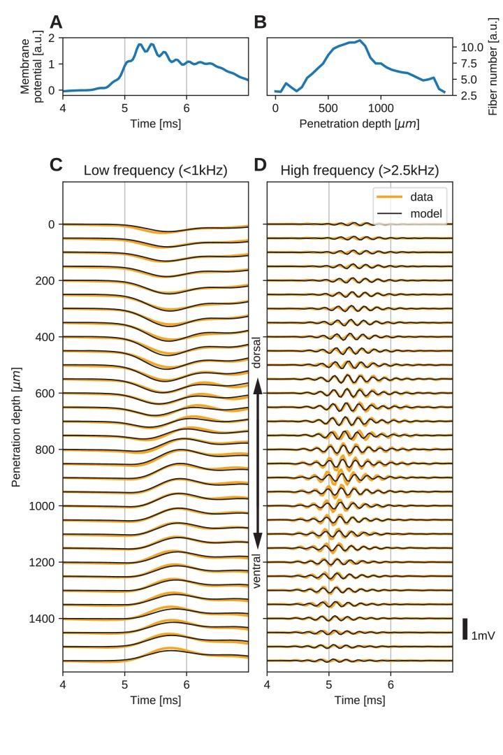 https://cdn.ncbi.nlm.nih.gov/pmc/blobs/a9ab/5617635/90b729e19535/elife-26106-fig5.jpg
