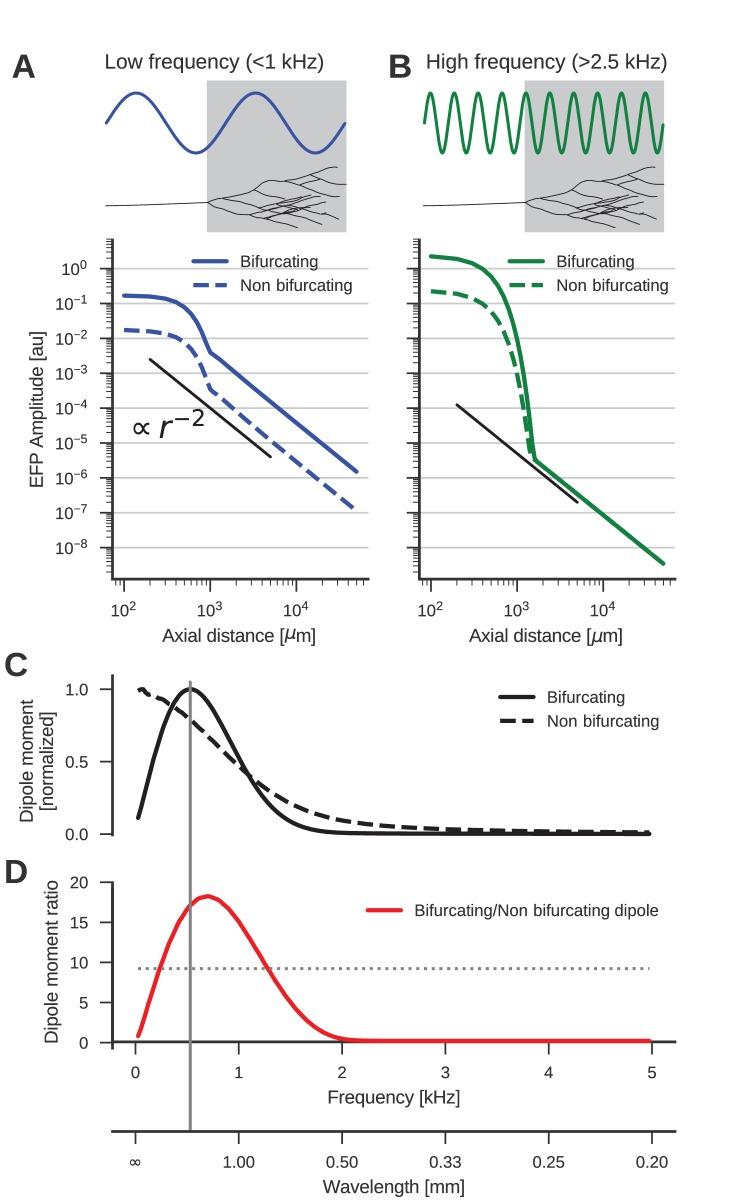 https://cdn.ncbi.nlm.nih.gov/pmc/blobs/a9ab/5617635/a8dd48e65d5b/elife-26106-fig3.jpg