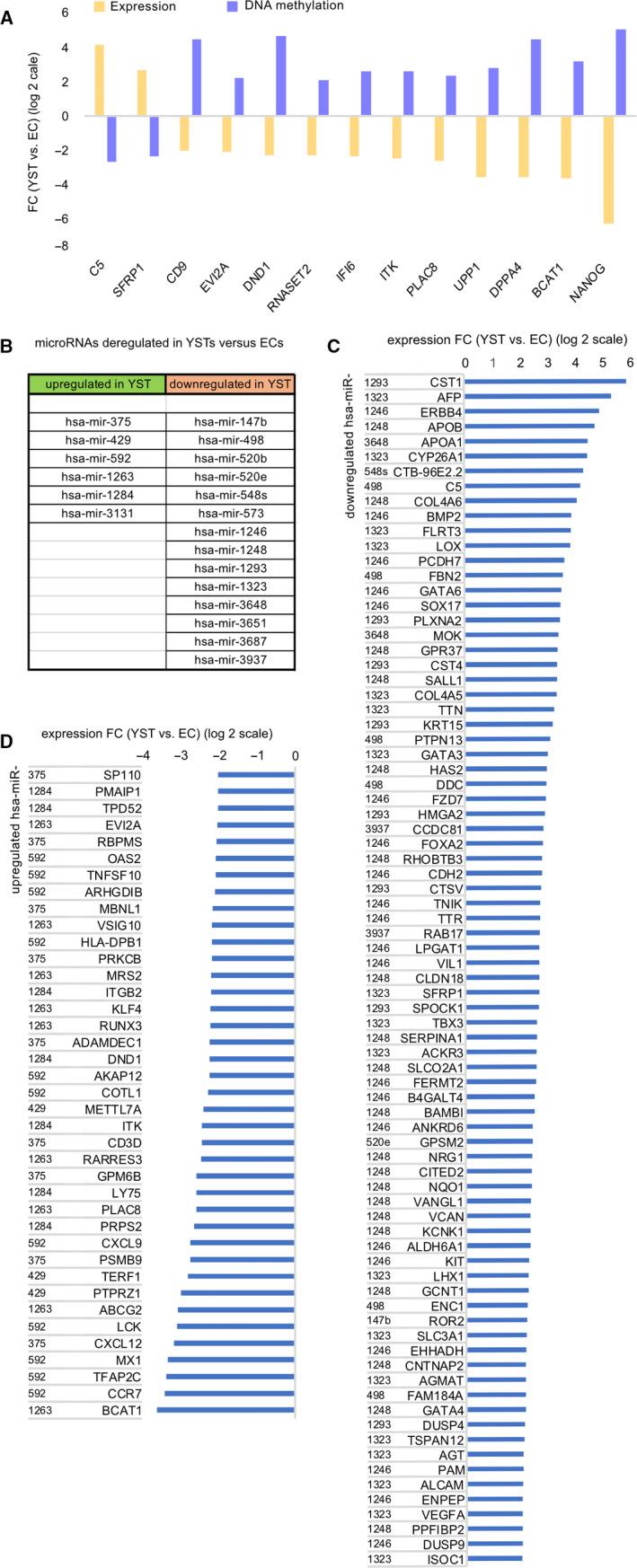 https://cdn.ncbi.nlm.nih.gov/pmc/blobs/a9ab/7875904/ddf02491c284/JCMM-25-1394-g003.jpg