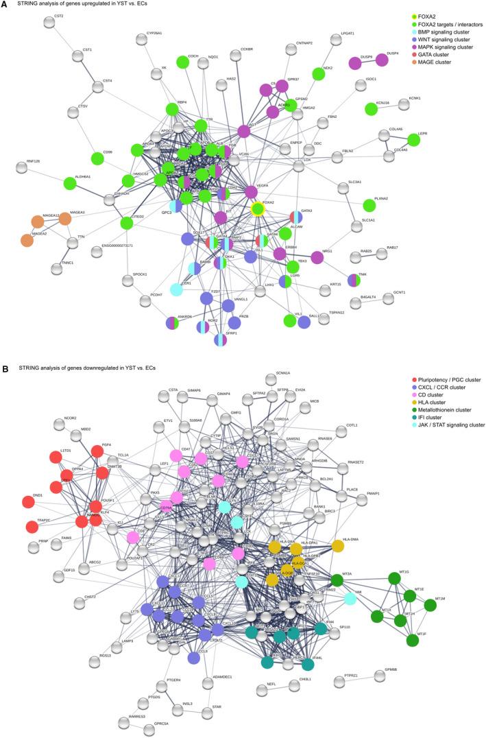 https://cdn.ncbi.nlm.nih.gov/pmc/blobs/a9ab/7875904/e8c918399cf2/JCMM-25-1394-g001.jpg