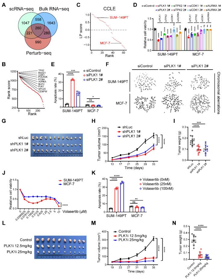 https://cdn.ncbi.nlm.nih.gov/pmc/blobs/a9ac/11155410/a4498366a920/thnov14p3104g004.jpg