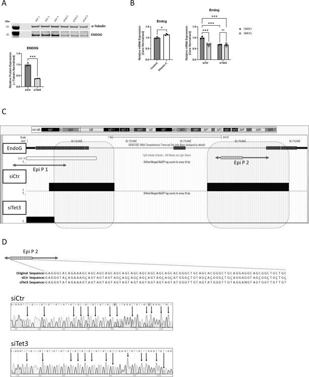 https://cdn.ncbi.nlm.nih.gov/pmc/blobs/a9ad/10790995/16638d7bdc85/pone.0294187.g004.jpg