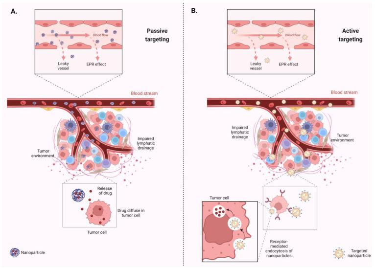 https://cdn.ncbi.nlm.nih.gov/pmc/blobs/a9b0/11430352/6ec1e4dce918/biomolecules-14-01090-g003.jpg