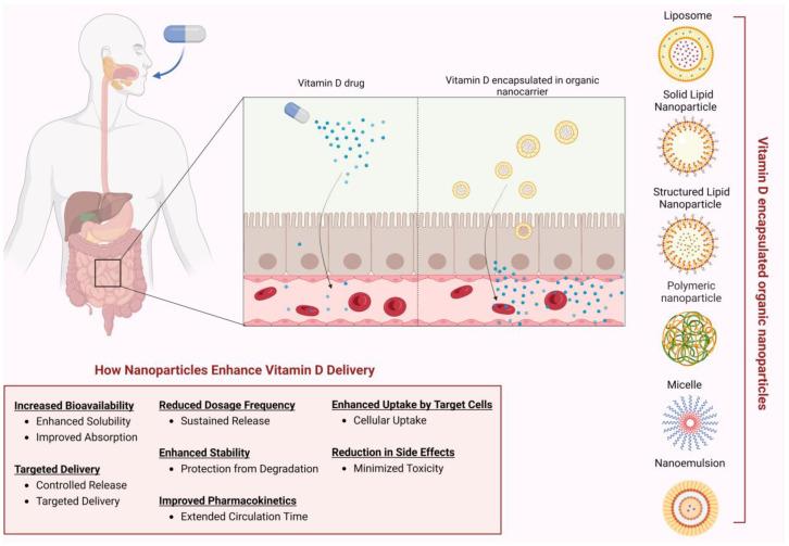 https://cdn.ncbi.nlm.nih.gov/pmc/blobs/a9b0/11430352/734792c991af/biomolecules-14-01090-g004.jpg