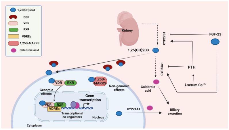 https://cdn.ncbi.nlm.nih.gov/pmc/blobs/a9b0/11430352/965fc7220f27/biomolecules-14-01090-g002.jpg