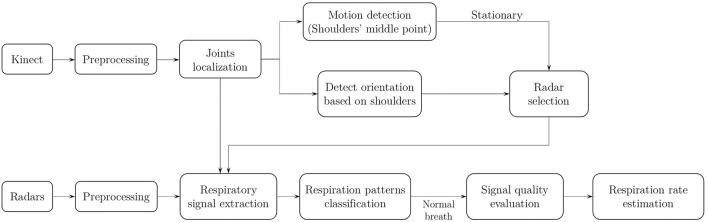 https://cdn.ncbi.nlm.nih.gov/pmc/blobs/a9b1/8959759/171468c9b1d0/fphys-13-799621-g0001.jpg