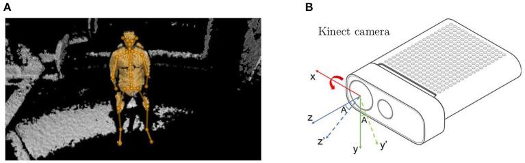 https://cdn.ncbi.nlm.nih.gov/pmc/blobs/a9b1/8959759/19ba4abc573a/fphys-13-799621-g0003.jpg