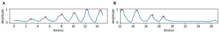https://cdn.ncbi.nlm.nih.gov/pmc/blobs/a9b1/8959759/c8c52f138078/fphys-13-799621-g0008.jpg