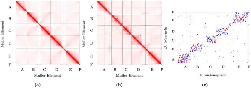 https://cdn.ncbi.nlm.nih.gov/pmc/blobs/a9b4/7746282/d5067622d2c5/pgen.1009229.g002.jpg