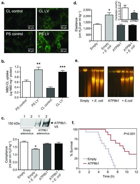 https://cdn.ncbi.nlm.nih.gov/pmc/blobs/a9b6/4500192/690c9fa73909/nihms-229578-f0004.jpg