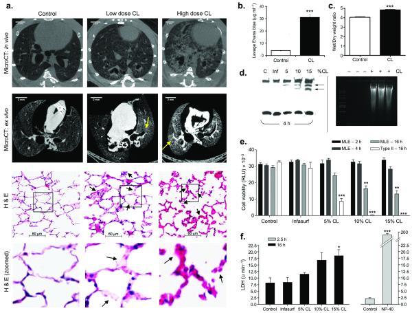 https://cdn.ncbi.nlm.nih.gov/pmc/blobs/a9b6/4500192/7b6553de23c9/nihms-229578-f0003.jpg