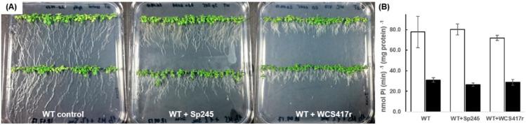 https://cdn.ncbi.nlm.nih.gov/pmc/blobs/a9ba/7823443/6cb3fd7ae8e3/plants-10-00066-g002.jpg