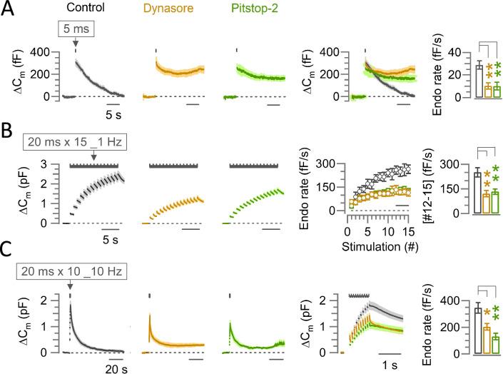 https://cdn.ncbi.nlm.nih.gov/pmc/blobs/a9bb/11147502/8864a26d48e8/elife-90497-fig1.jpg