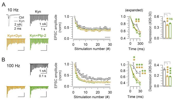 https://cdn.ncbi.nlm.nih.gov/pmc/blobs/a9bb/11147502/970525529e50/elife-90497-fig2-figsupp2.jpg