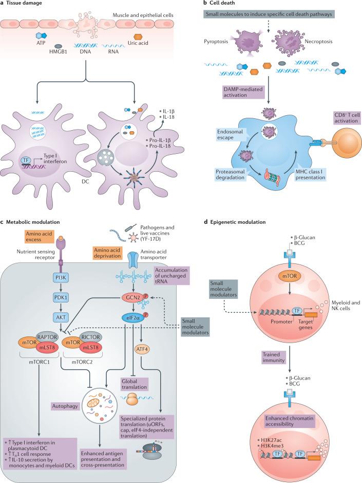 https://cdn.ncbi.nlm.nih.gov/pmc/blobs/a9bc/8023785/bda183800f90/41573_2021_163_Fig2_HTML.jpg