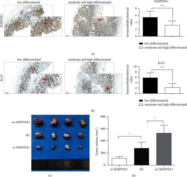 https://cdn.ncbi.nlm.nih.gov/pmc/blobs/a9bd/8817868/6dd910c78f34/JO2022-2647825.009.jpg
