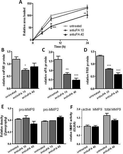 https://cdn.ncbi.nlm.nih.gov/pmc/blobs/a9be/3358731/6d008577d302/thoraxjnl-2011-200508fig3.jpg