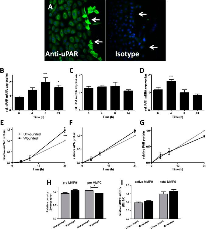 https://cdn.ncbi.nlm.nih.gov/pmc/blobs/a9be/3358731/d626839282de/thoraxjnl-2011-200508fig2.jpg