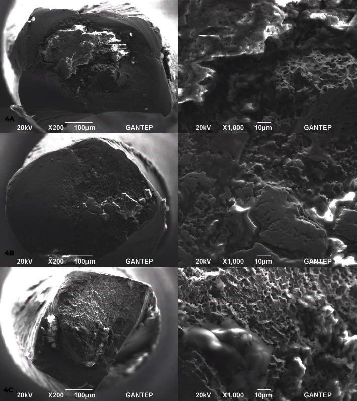 https://cdn.ncbi.nlm.nih.gov/pmc/blobs/a9bf/11357823/f171ffc72939/ABB2024-8842478.004.jpg