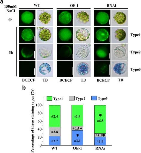 https://cdn.ncbi.nlm.nih.gov/pmc/blobs/a9bf/5128010/6dc638097ee2/12284_2016_138_Fig5_HTML.jpg