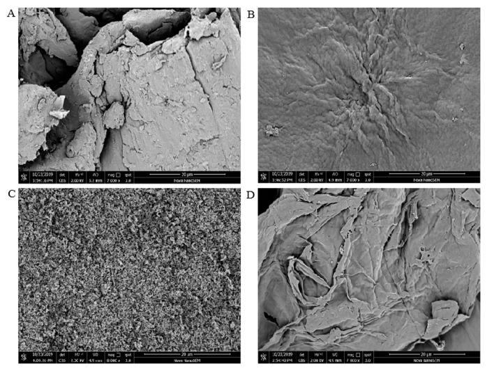 https://cdn.ncbi.nlm.nih.gov/pmc/blobs/a9c0/7571028/0141437c2a9c/molecules-25-04074-g002.jpg