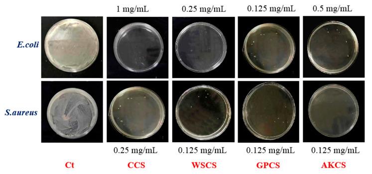 https://cdn.ncbi.nlm.nih.gov/pmc/blobs/a9c0/7571028/7f859160bce8/molecules-25-04074-g007.jpg