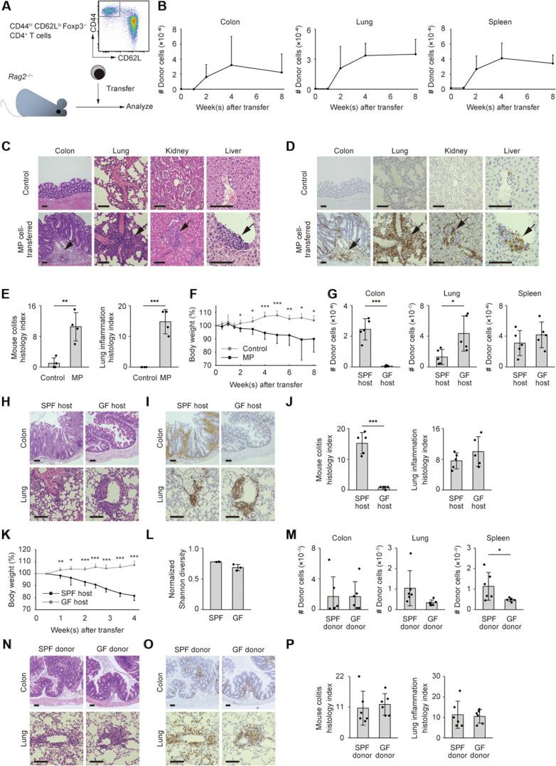 https://cdn.ncbi.nlm.nih.gov/pmc/blobs/a9c1/11619248/637c408b8253/sciadv.adq6618-f1.jpg