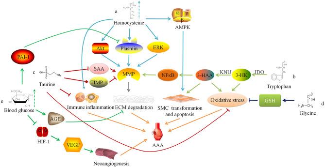 https://cdn.ncbi.nlm.nih.gov/pmc/blobs/a9c1/7892590/2cda985746b2/fcvm-08-630269-g0001.jpg