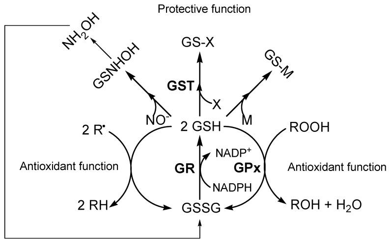 https://cdn.ncbi.nlm.nih.gov/pmc/blobs/a9c5/6257297/a02e00497fec/molecules-15-01242-g001.jpg
