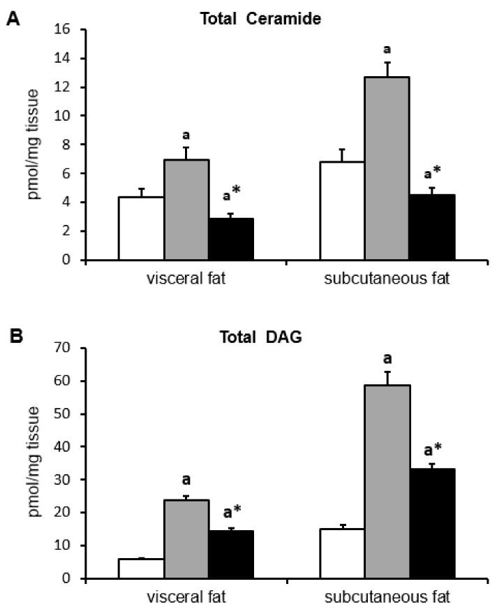 https://cdn.ncbi.nlm.nih.gov/pmc/blobs/a9c7/6321500/1f931afe1459/ijms-19-03995-g003.jpg