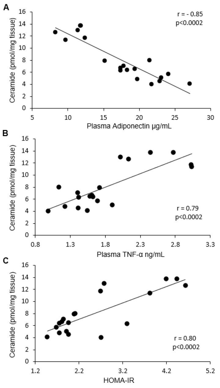 https://cdn.ncbi.nlm.nih.gov/pmc/blobs/a9c7/6321500/a8da8fe77dd4/ijms-19-03995-g005.jpg