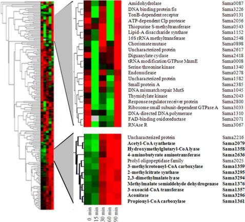 https://cdn.ncbi.nlm.nih.gov/pmc/blobs/a9c9/3216512/f2d64e1956ca/srep00025-f5.jpg