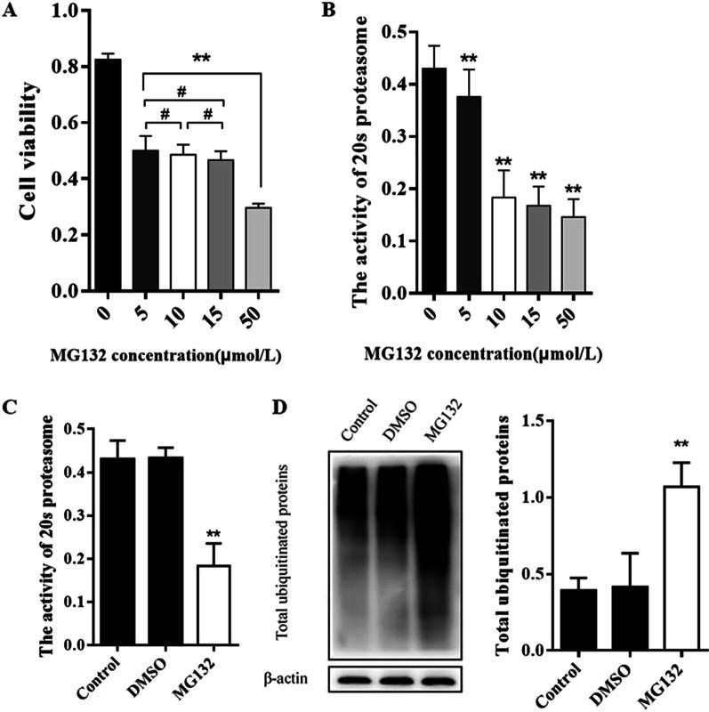 https://cdn.ncbi.nlm.nih.gov/pmc/blobs/a9ca/8607682/7efec7a78766/12890_2021_1751_Fig4_HTML.jpg