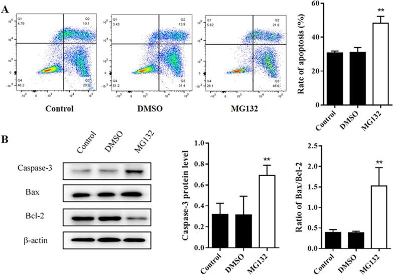 https://cdn.ncbi.nlm.nih.gov/pmc/blobs/a9ca/8607682/e1c6a371af9e/12890_2021_1751_Fig5_HTML.jpg