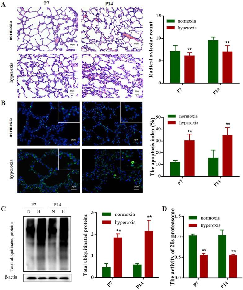 https://cdn.ncbi.nlm.nih.gov/pmc/blobs/a9ca/8607682/e6031b20bb62/12890_2021_1751_Fig1_HTML.jpg