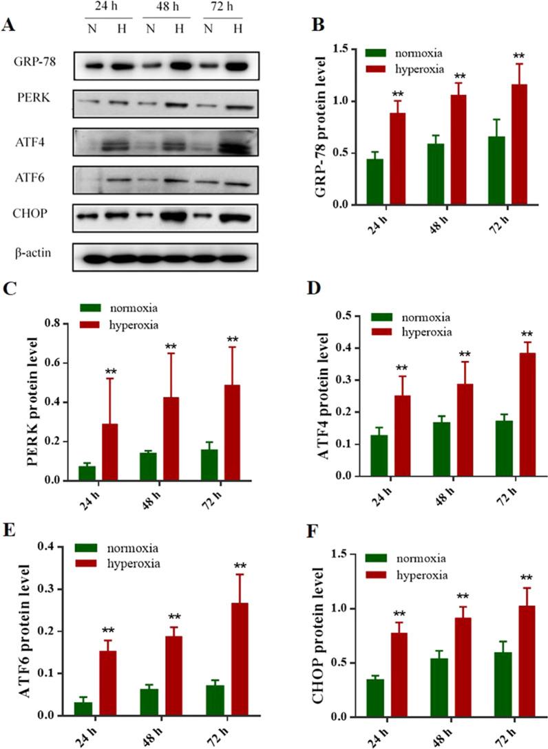 https://cdn.ncbi.nlm.nih.gov/pmc/blobs/a9ca/8607682/f53ba39a46cc/12890_2021_1751_Fig3_HTML.jpg