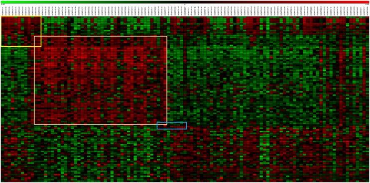 https://cdn.ncbi.nlm.nih.gov/pmc/blobs/a9cc/4210136/b41265930608/pone.0111318.g003.jpg