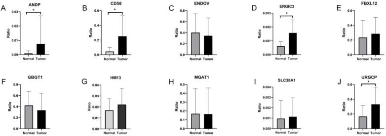 https://cdn.ncbi.nlm.nih.gov/pmc/blobs/a9cf/8040899/75dcd278c959/jcav12p2982g007.jpg