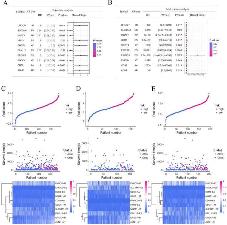 https://cdn.ncbi.nlm.nih.gov/pmc/blobs/a9cf/8040899/abf8e2992963/jcav12p2982g006.jpg