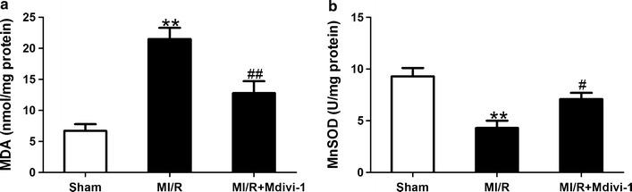 https://cdn.ncbi.nlm.nih.gov/pmc/blobs/a9d0/5297196/0917589bc63f/12933_2017_501_Fig7_HTML.jpg