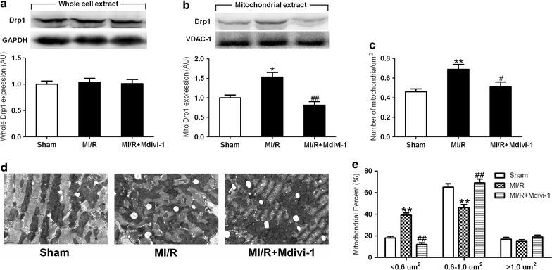 https://cdn.ncbi.nlm.nih.gov/pmc/blobs/a9d0/5297196/68538dff21dc/12933_2017_501_Fig2_HTML.jpg