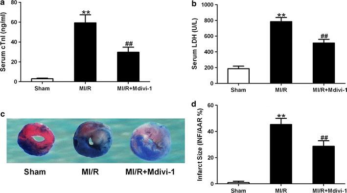 https://cdn.ncbi.nlm.nih.gov/pmc/blobs/a9d0/5297196/aedbdf5d43df/12933_2017_501_Fig5_HTML.jpg