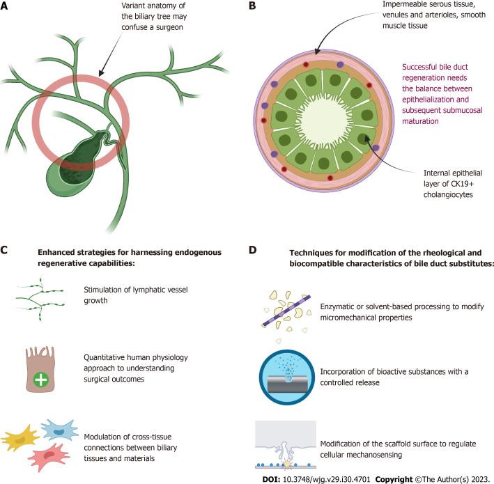 https://cdn.ncbi.nlm.nih.gov/pmc/blobs/a9d1/10472900/cfed0cd79129/WJG-29-4701-g001.jpg