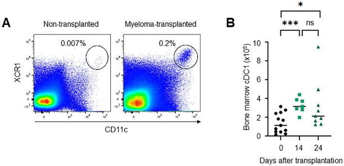 https://cdn.ncbi.nlm.nih.gov/pmc/blobs/a9d1/11518711/9638fb4100bb/fimmu-15-1444821-g002.jpg